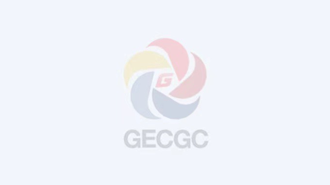 甘肅工程咨詢集團黨委理論學(xué)習(xí)中心組專題學(xué)習(xí)習(xí)近平總書記在二十屆中央政治局第四次集體學(xué)習(xí)重要講話精神